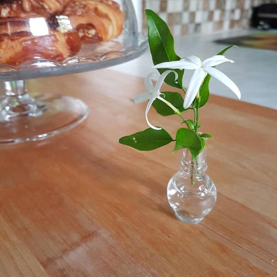 普雷韦扎The Jasmine House别墅 外观 照片